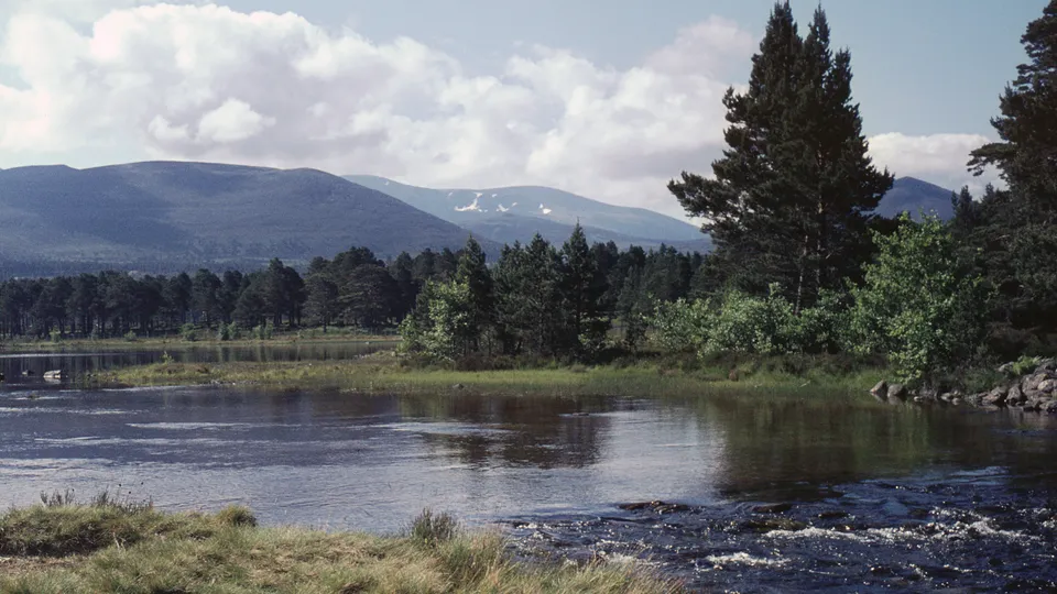 Loch Morlich with the Cairngorm mountains behind