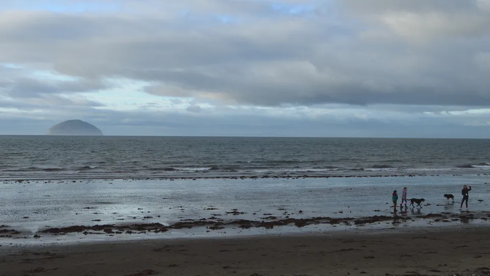 Two dogs and their walkers on the wet sands at Girvan, with Ailsa Craig on the horizon