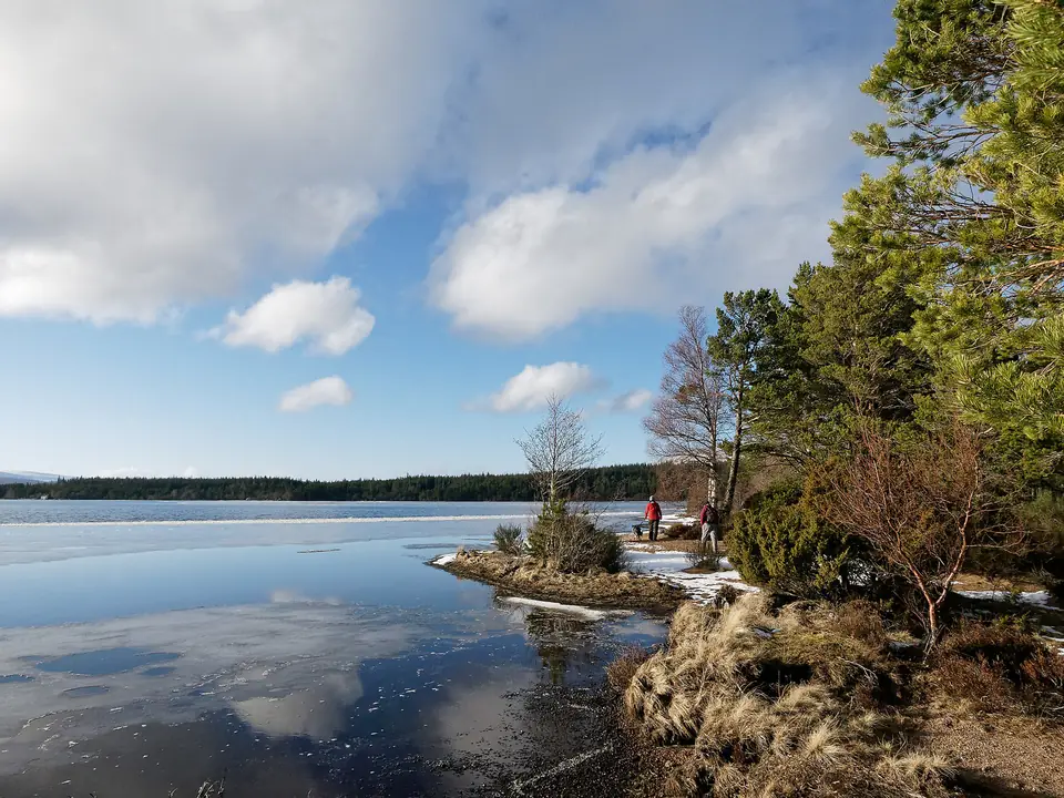Walkers and their dog beside Loch Morlich