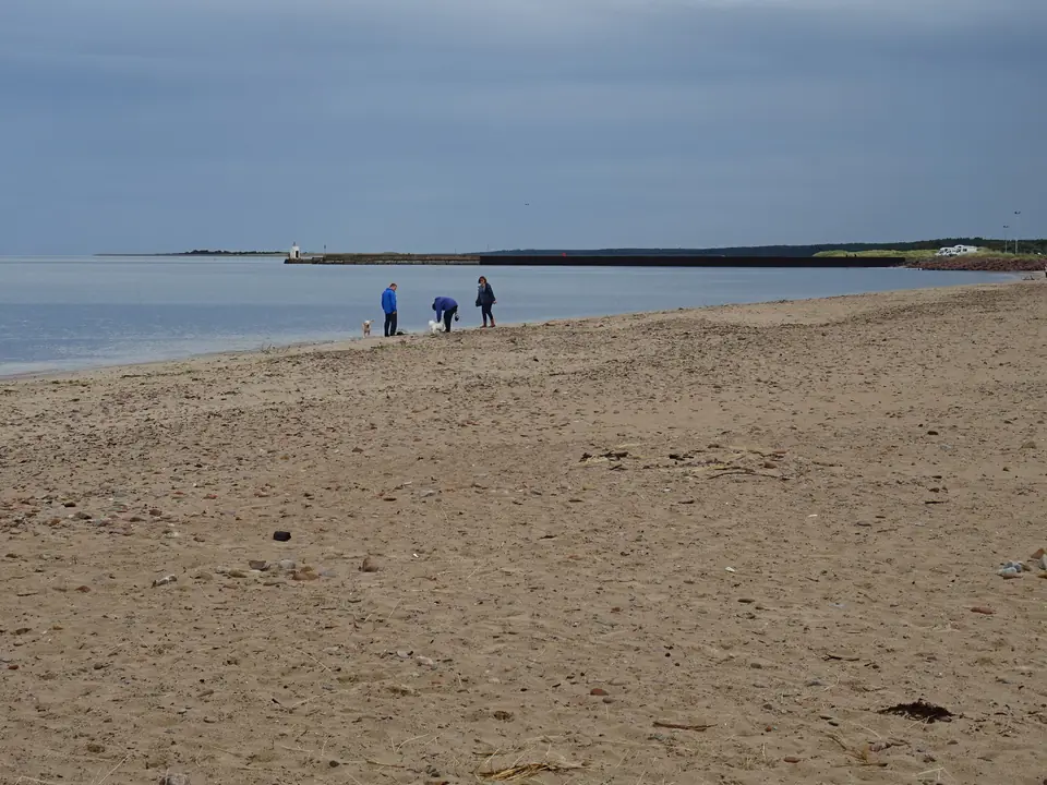 A dog walk on the beach at Nairn