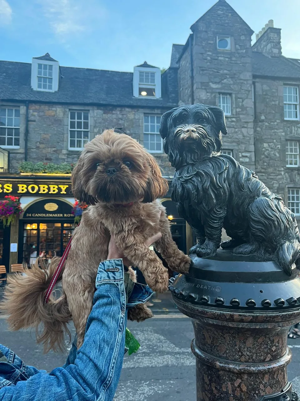 Cookie, a brown Shih Tzu held up beside the Greyfriars Bobby statue in Edinburgh, with the Greyfriars Bobby’s Bar frontage behind