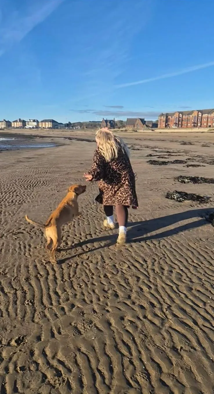 Roux, a golden brown dog, on rippled sand at Saltcoats beach with a woman holding out her hand